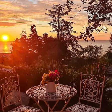 Kabakum * Варна