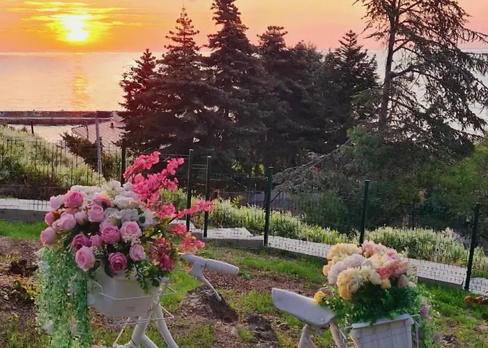 Дом отдыха Kabakum *